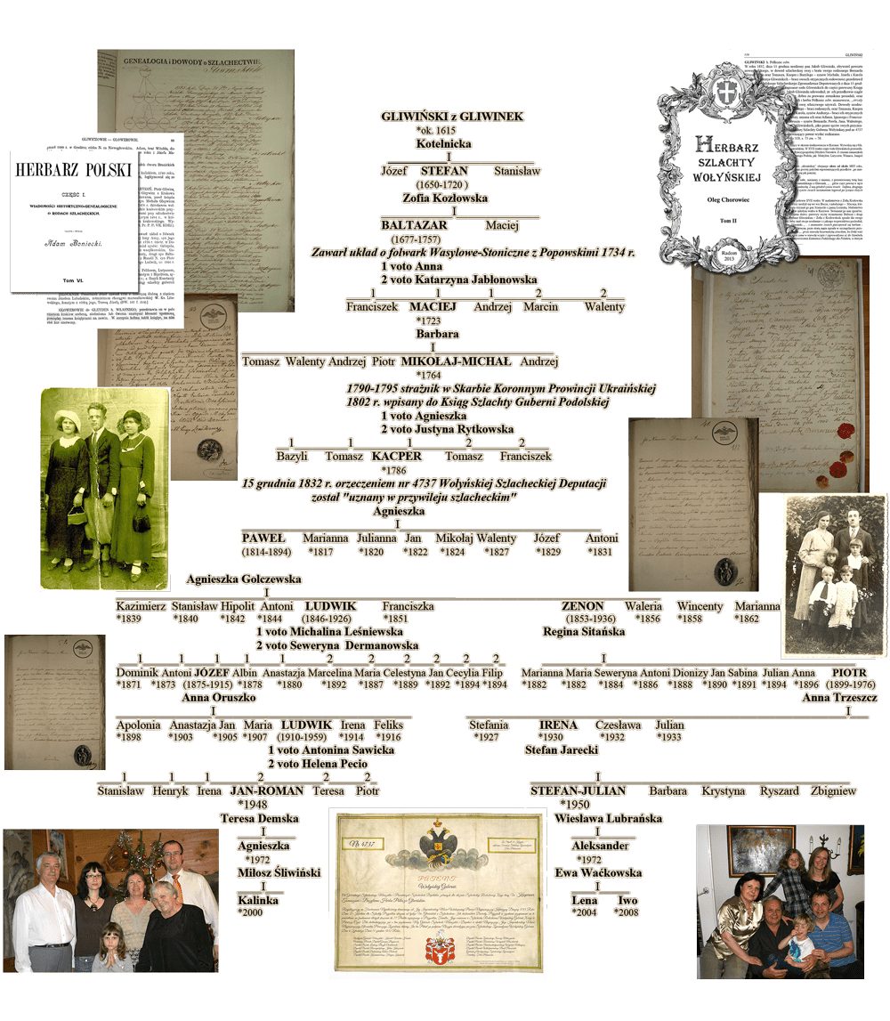 Drzewo genealogiczne rodziny Gliwińscy h. Półkozic
