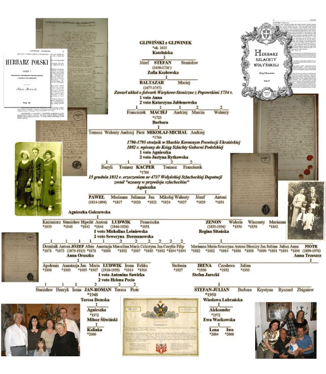Drzewo genealogiczne rodziny Gliwińscy h. Półkozic