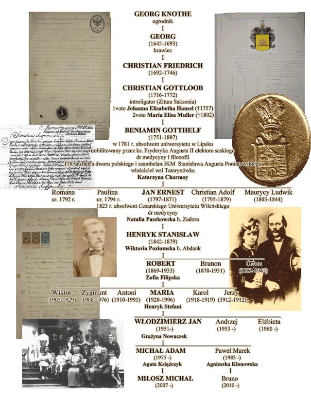 Drzewo genealogiczne rodziny Knothe h. Grzymała