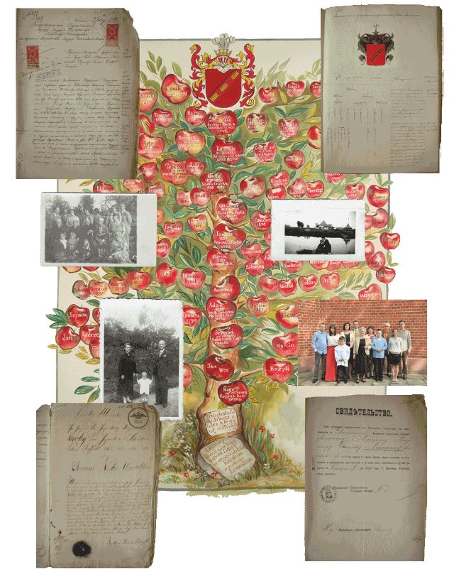 Drzewo genealogiczne rodziny Lisieccy h. Dryja